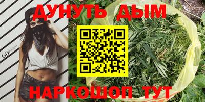 наркотики Будённовск