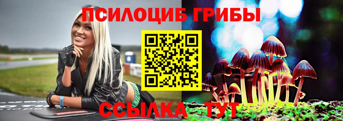Галлюциногенные грибы мицелий  Псилоцибиновые грибы Psilocybine cubensis  Усинск  Вход с VPN 